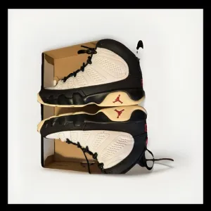 Air Jordan 9s black/white