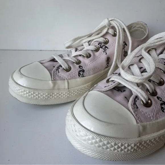 Converse Chuck Taylor Women’s Barely Rose With Dark Purple Flamingos Size:5