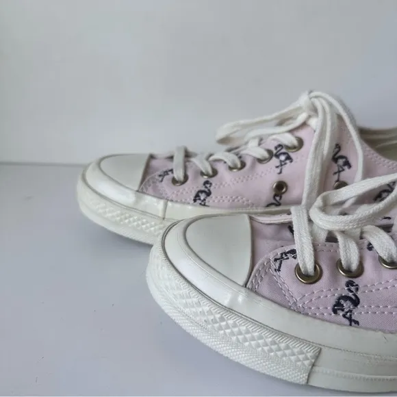 Converse Chuck Taylor Women’s Barely Rose With Dark Purple Flamingos Size:5