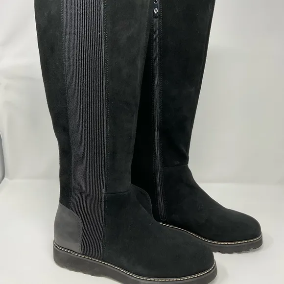 Donald Pliner Codie Suede and Leather knee high boots