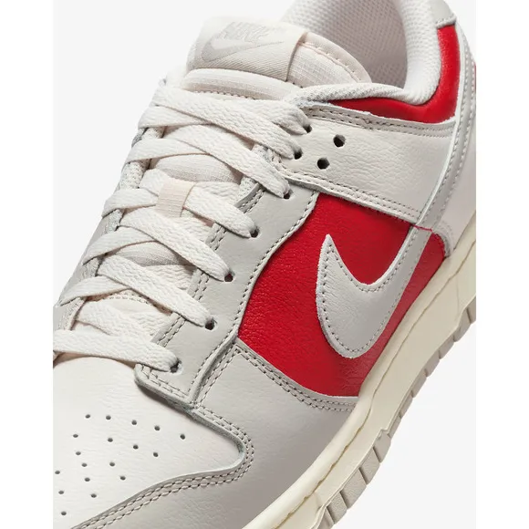 Nike Dunk Low Retro HJ9093-030 Sneaker Men's Gray Leather Lifestyle Shoes PSS276