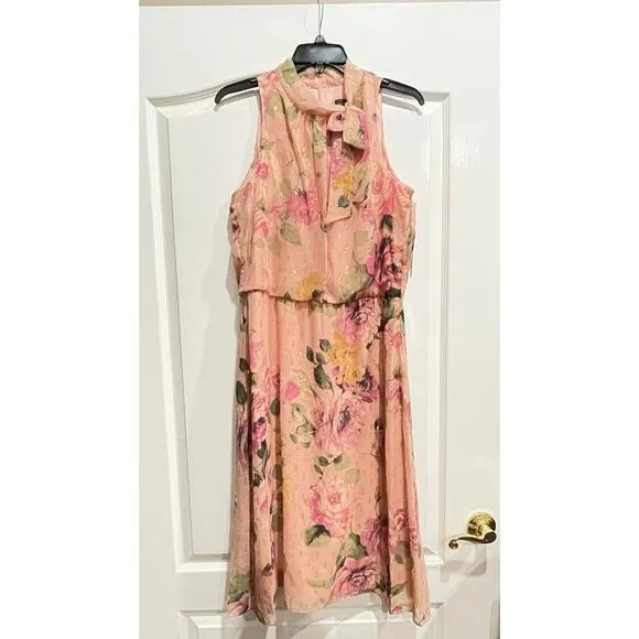 NWT Jessica Howard Women's Style Midi Sleeveless Chiffon Lurex Size 10